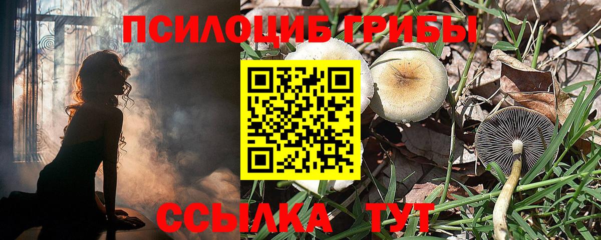 Псилоцибиновые грибы мухоморы Балашов