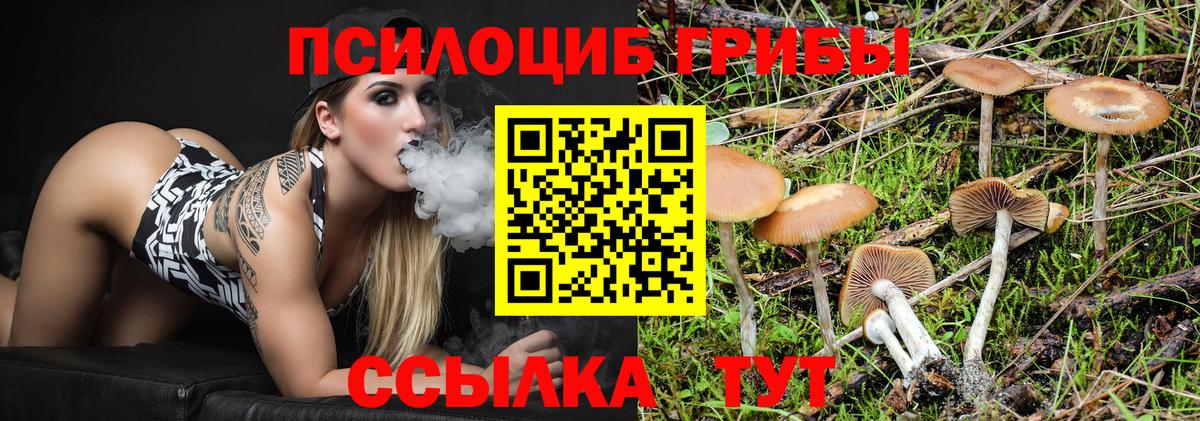 где купить наркоту  Галлюциногенные грибы Magic Shrooms  Псилоцибиновые грибы Psilocybine cubensis  Вход с VPN  Балашов 